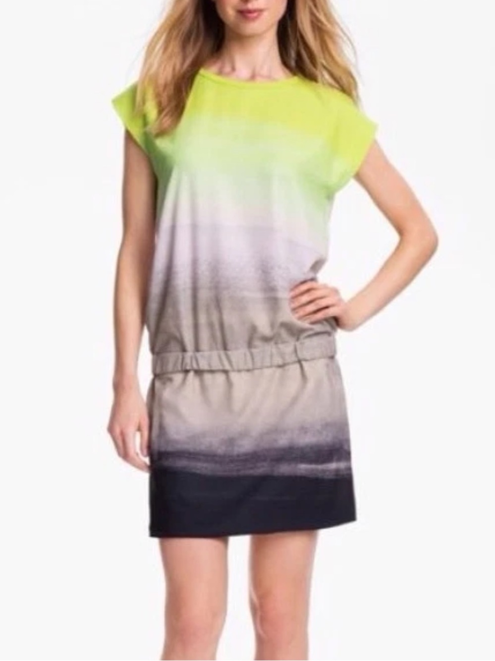 Diane von Furstenberg Tara Dress, Neon Green, Gray and Black, Size 0